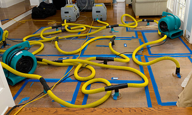 Professional Structural Drying And Dehumidification technician working in Cresskill, NJ